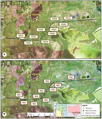 Use and effectiveness of wildlife exits designed for ocelots and other mesocarnivores on a south Texas highway